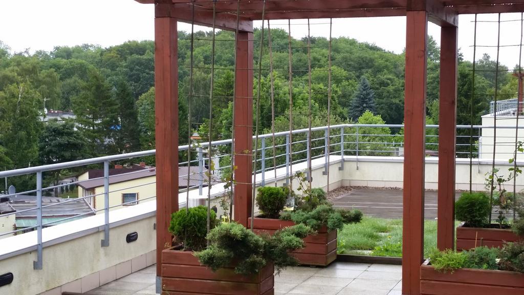 Apartament Karolina - Zielone Tarasy 코워브제크 외부 사진